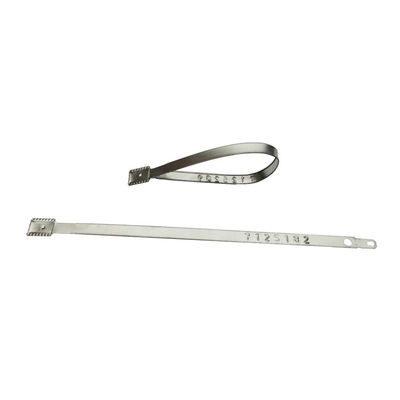 ISO 17712 Certified Metal Strap Seal for Secure Tamper Proofing 118 mm Overall Length
